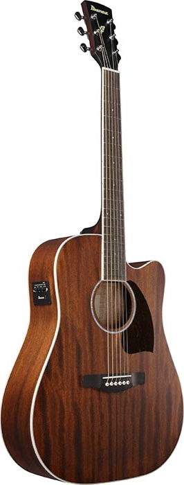 Ibanez PF Series Acoustic Guitar