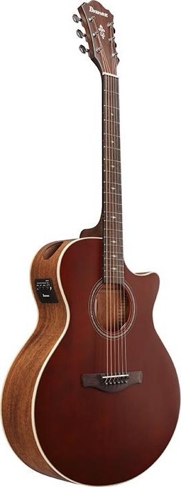 Ibanez AE Series