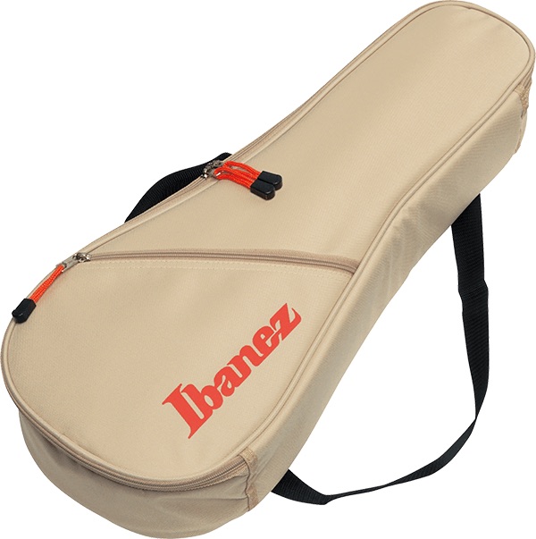 Ibanez 301 Series BAG
