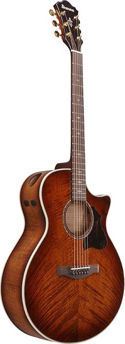 Ibanez Acoustic Guitar