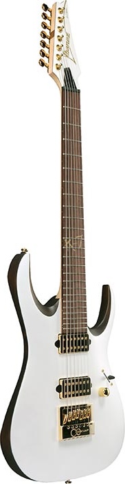 Ibanez Signature Series