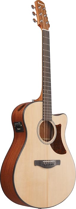 Ibanez Advanced Acoustic Series