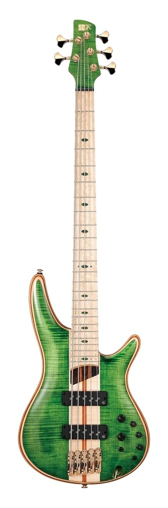 Ibanez Electric 5STR BASS Guitar WITH BAG