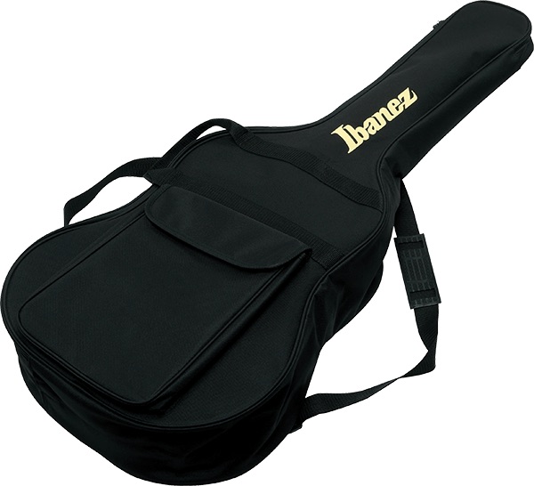 Ibanez 101 Series BAG