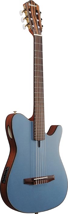 Ibanez Nylon String Guitar