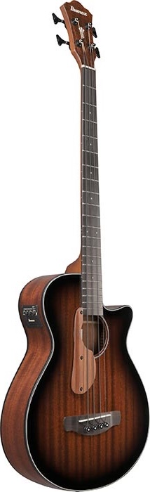 Ibanez Acoustic Electric BASS Guitar