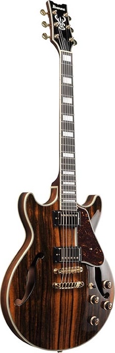 Ibanez AM Artcore Expressionist Series Maccasar Ebony