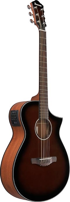Ibanez AEWC Series W/pick-UP Spruce TOP
