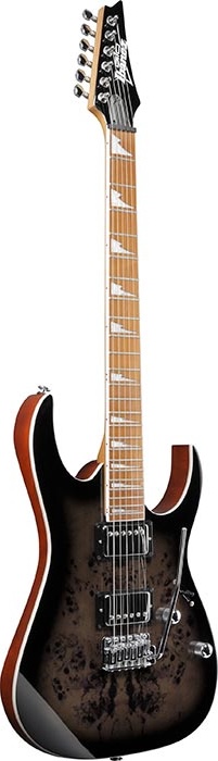 Ibanez Gio Electric Guiatr