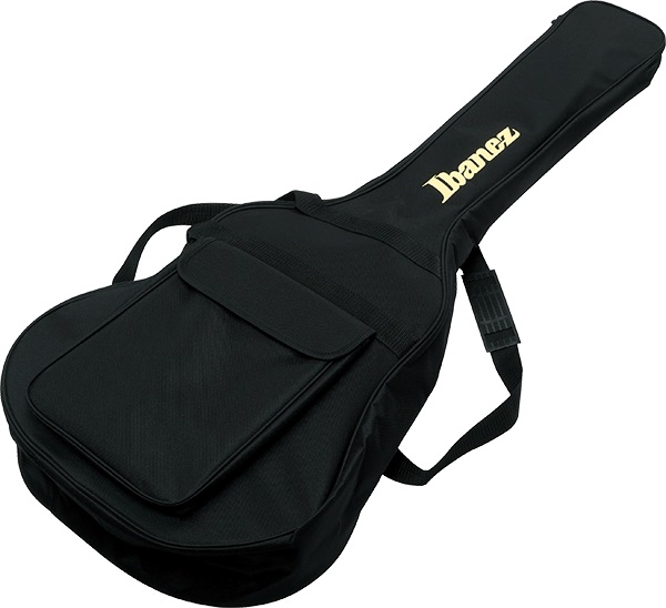 Ibanez 101 Series BAG