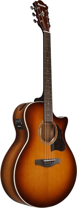Ibanez Acoustic Guitar