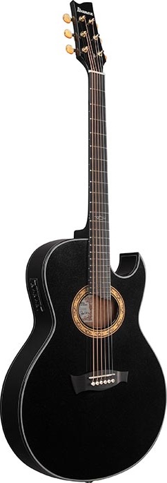 Ibanez EP5 Euphoria Ac/el GTR