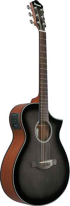Ibanez AEWC Series W/pick-UP Spruce TOP