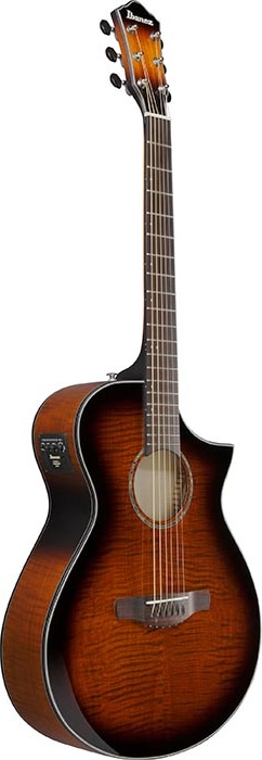Ibanez Acoustic Guitar