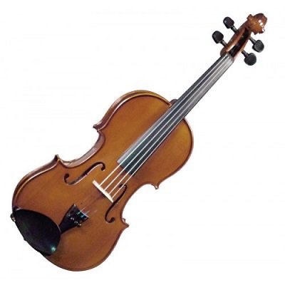 Mason Violin 3/4+case