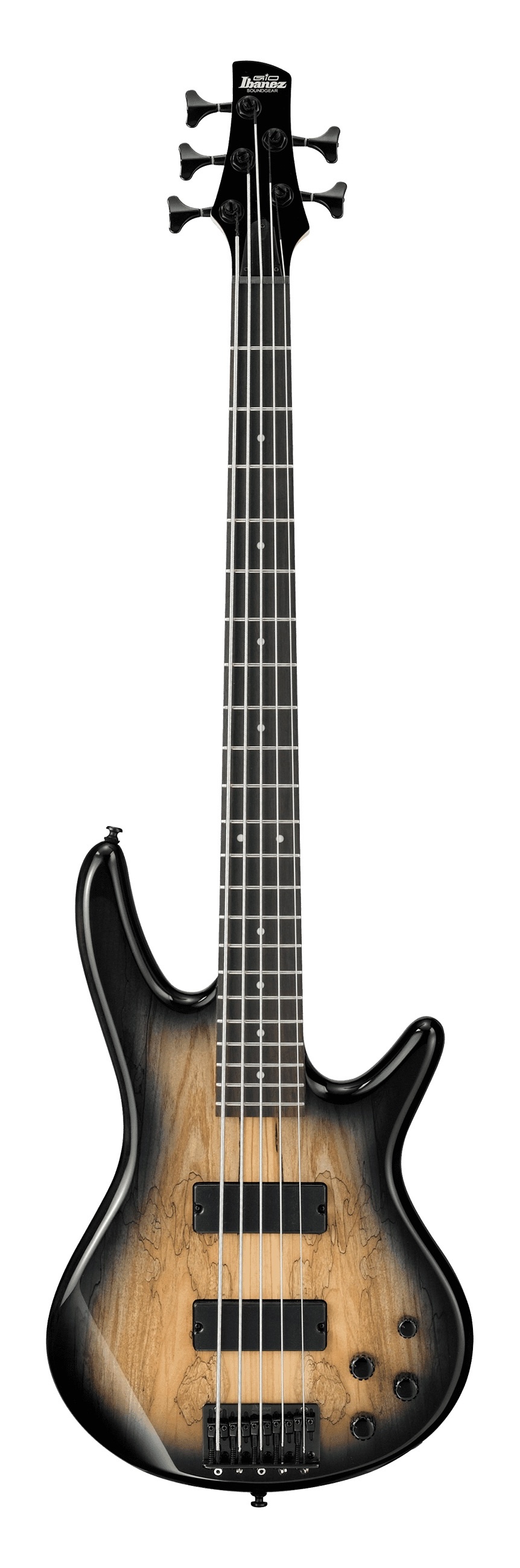 Ibanez SR GIO Series Spalted Maple TOP