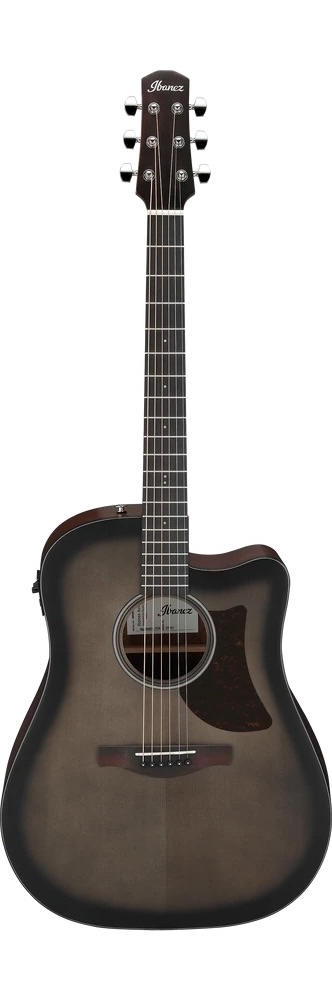 Ibanez Acoustic Guitar