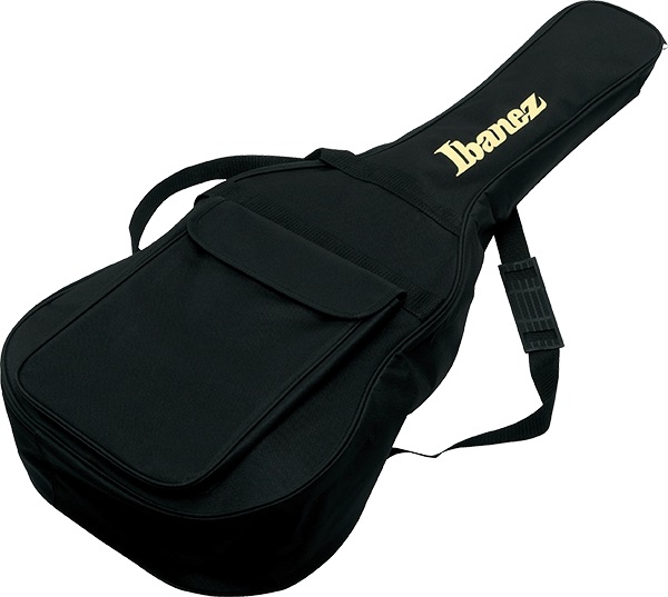 Ibanez 101 Series BAG