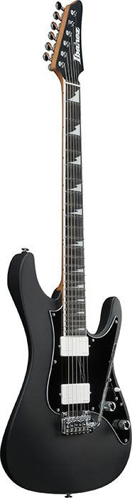 Ibanez Signature Series