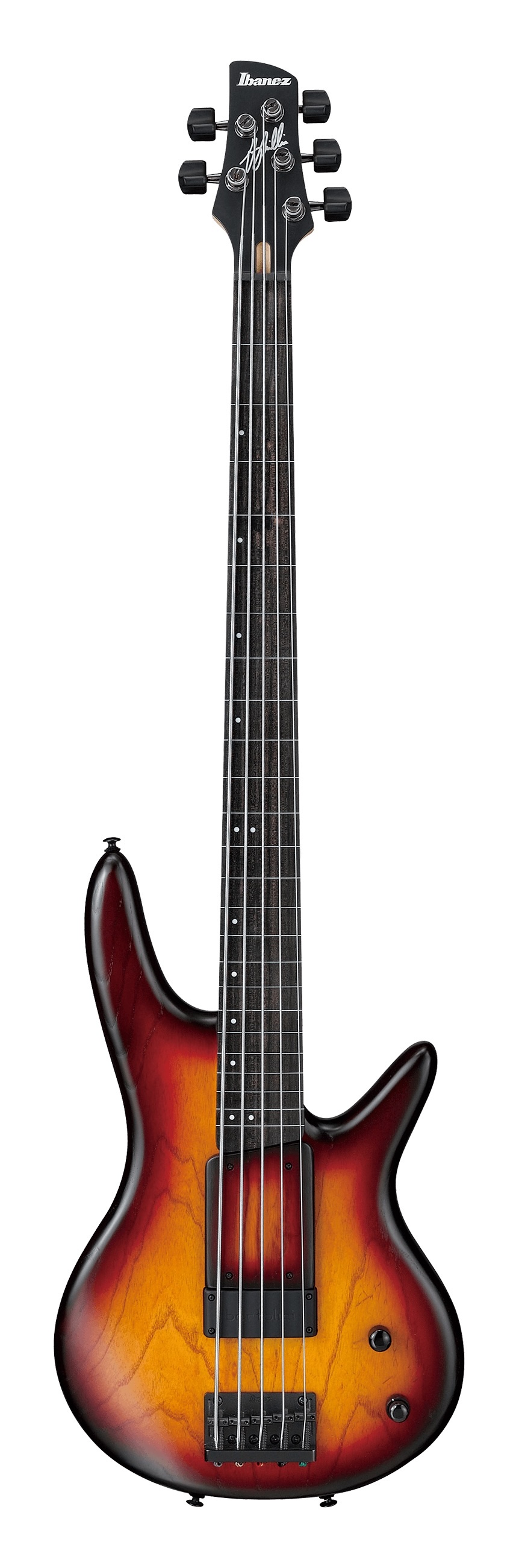 Ibanez Signature Series WITH BAG Bartolini GWB