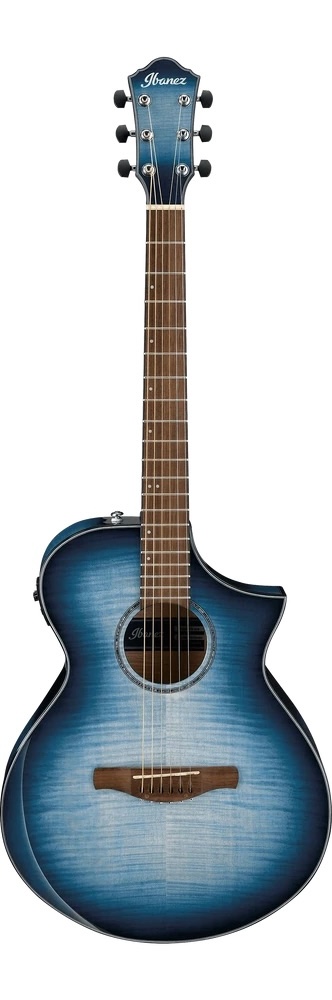Ibanez Acoustic ELEC Guitar