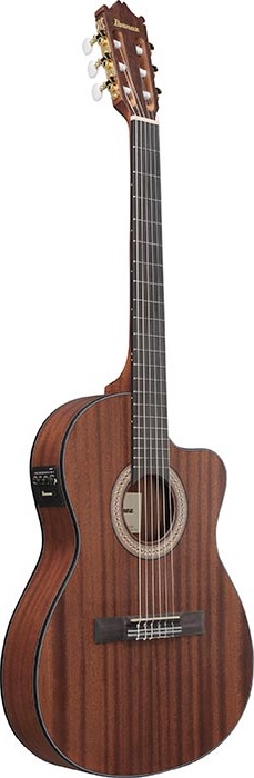 Ibanez GA Series Nylon String Guitar