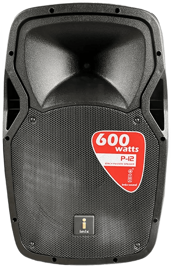 P-12 12″ Passive Speaker