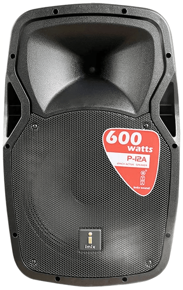 P12 A 12″ Active Acoustic Speaker