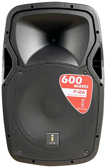 P12 A 12″ Active Acoustic Speaker