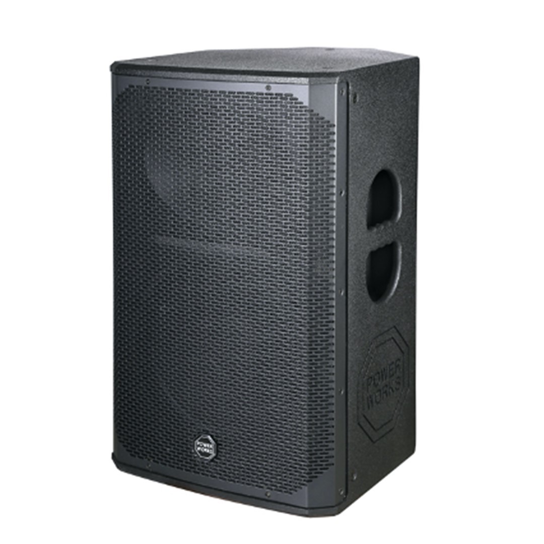 PowerWorks ARTEMIS 10 Passive 10″ PA Speaker