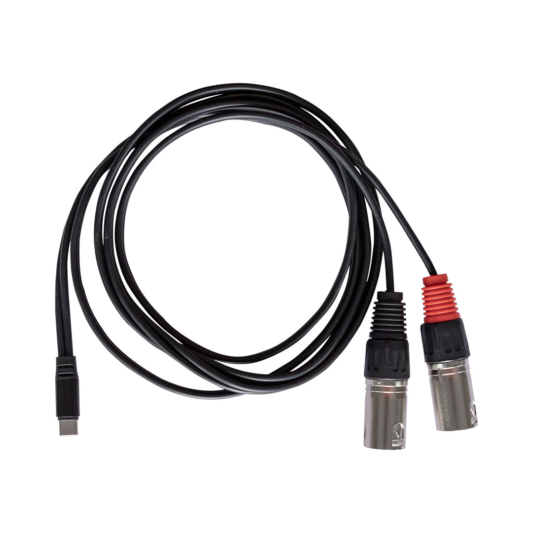 rubiQube CDXL Type C to dual XLR male, 1.8m