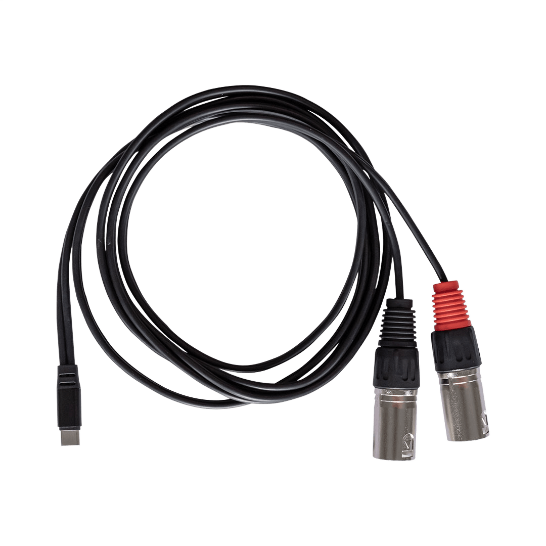 rubiQube CDXL Type C to dual XLR male, 1.8m