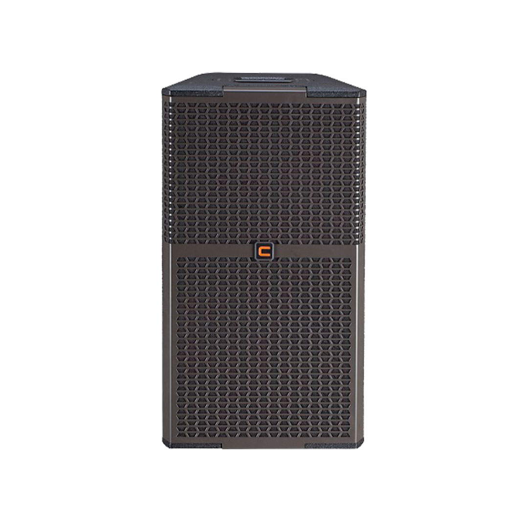 Celto Acoustique PM12 g2