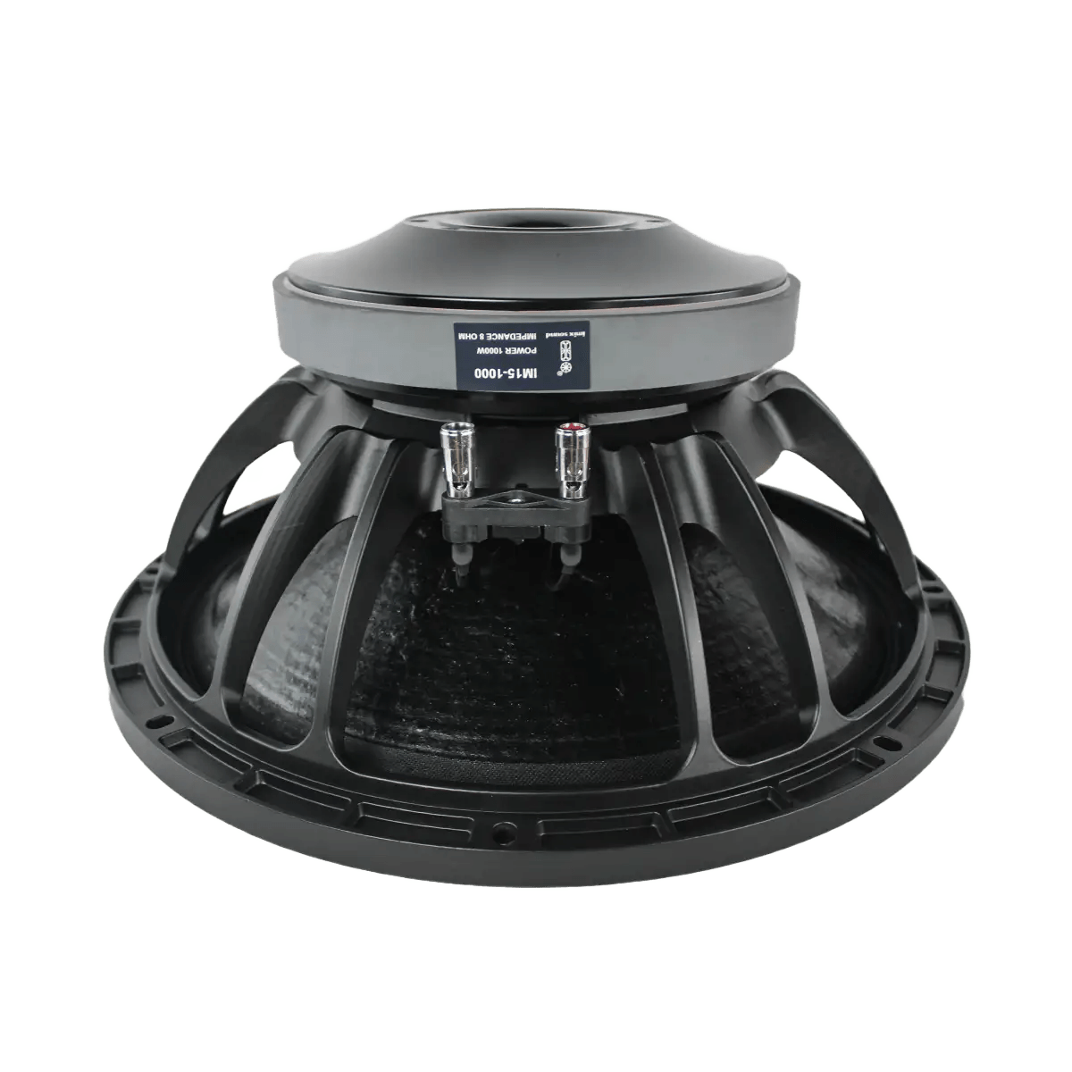 IM151000 1000W Loose Speaker