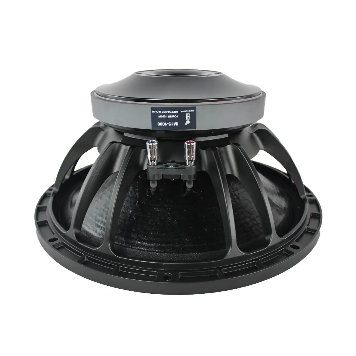IM151000 1000W Loose Speaker