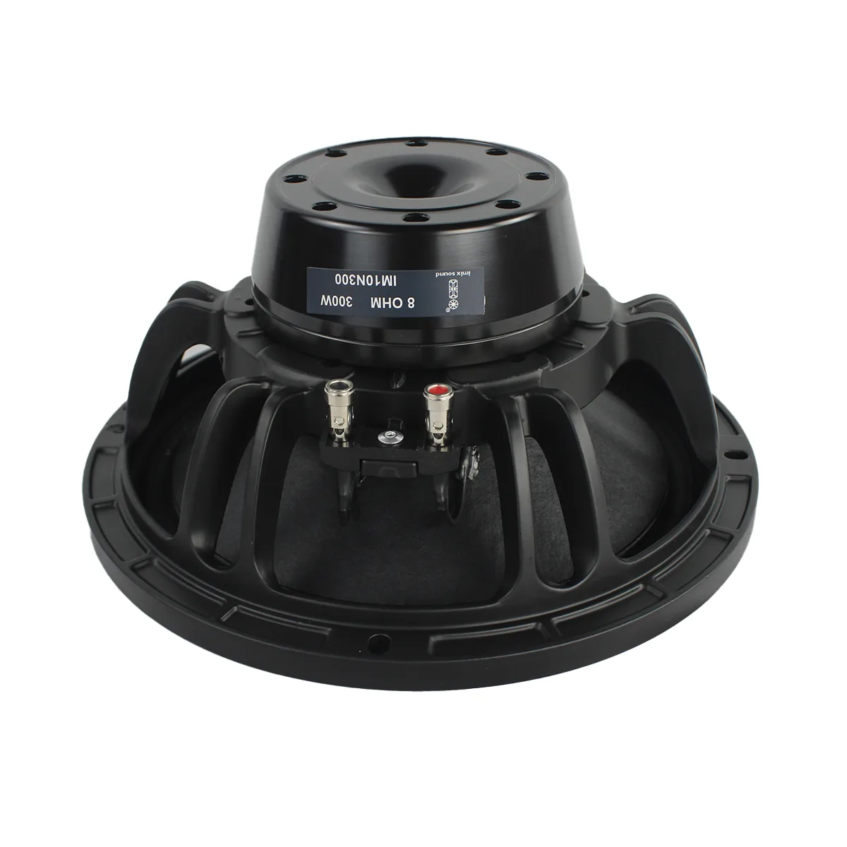 IM10N300 10″ 300W Loose Speaker