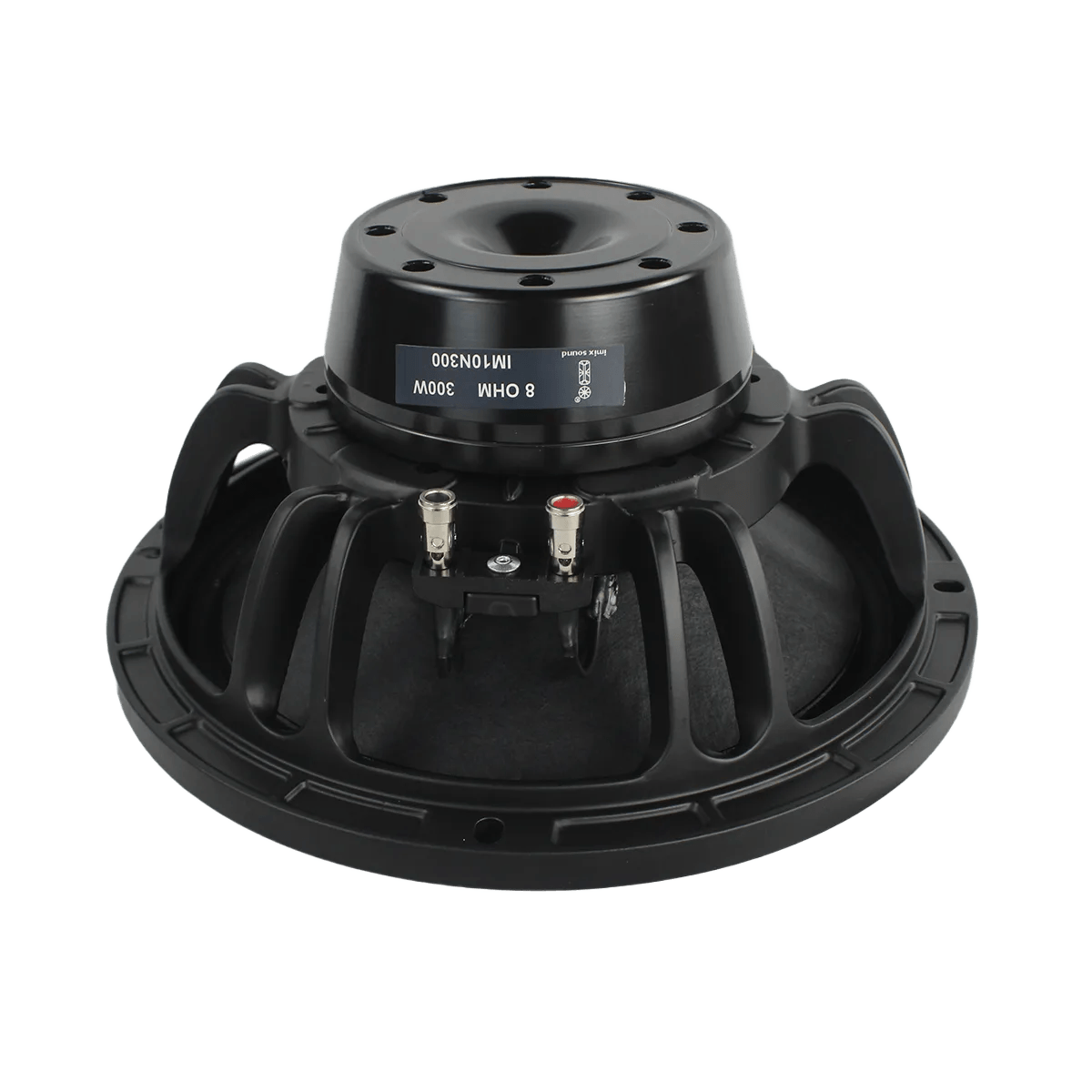 IM10N300 10″ 300W Loose Speaker