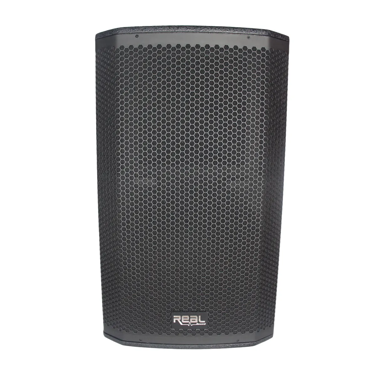 REAL Sound MS-15/2+ FULL Range Passive Speaker