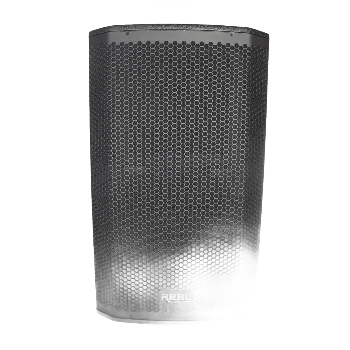 REAL Sound MS-12/2+ 12″ FULL Range Passive Speaker