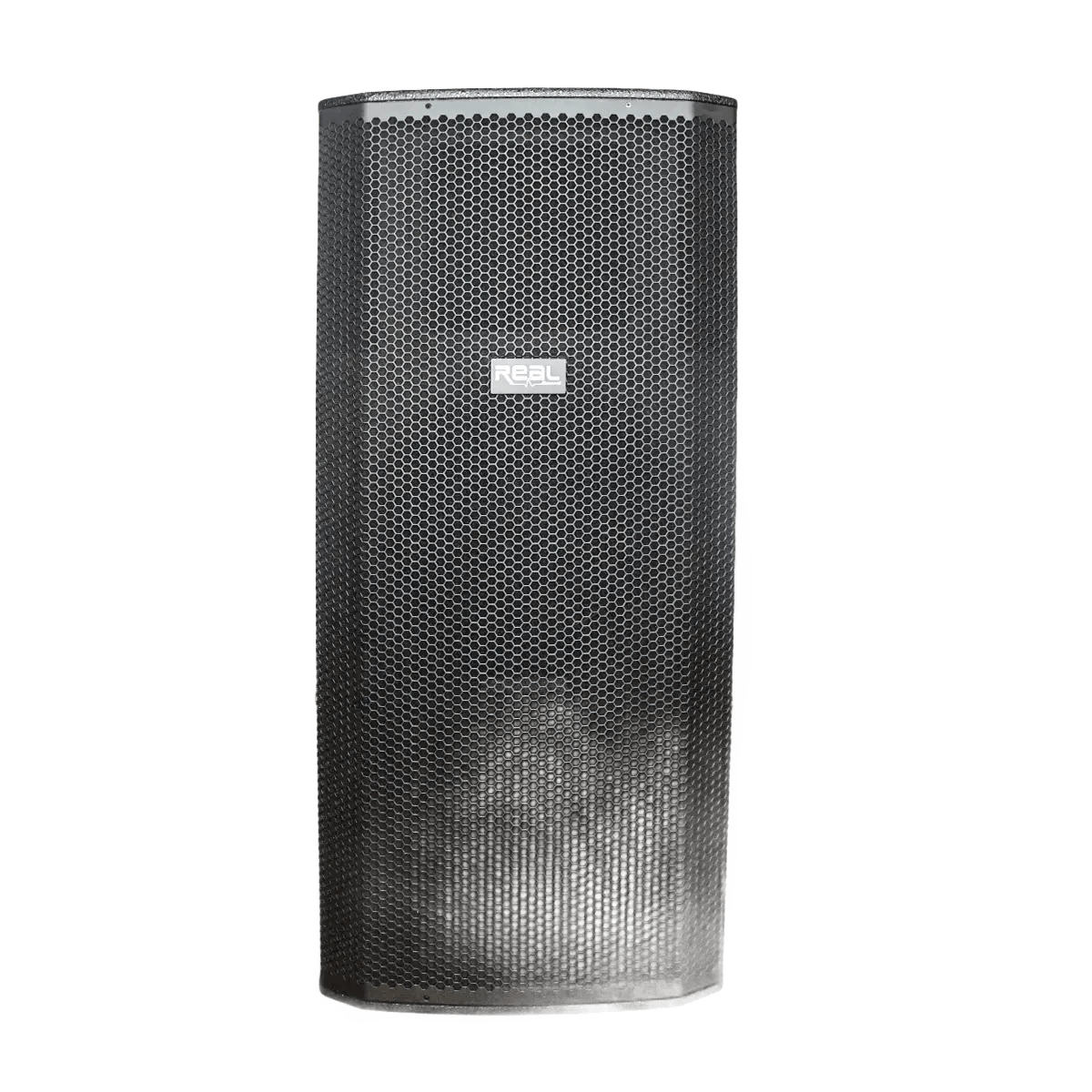REAL Sound MS-215/2+ 15″ DUAL Passive Speaker