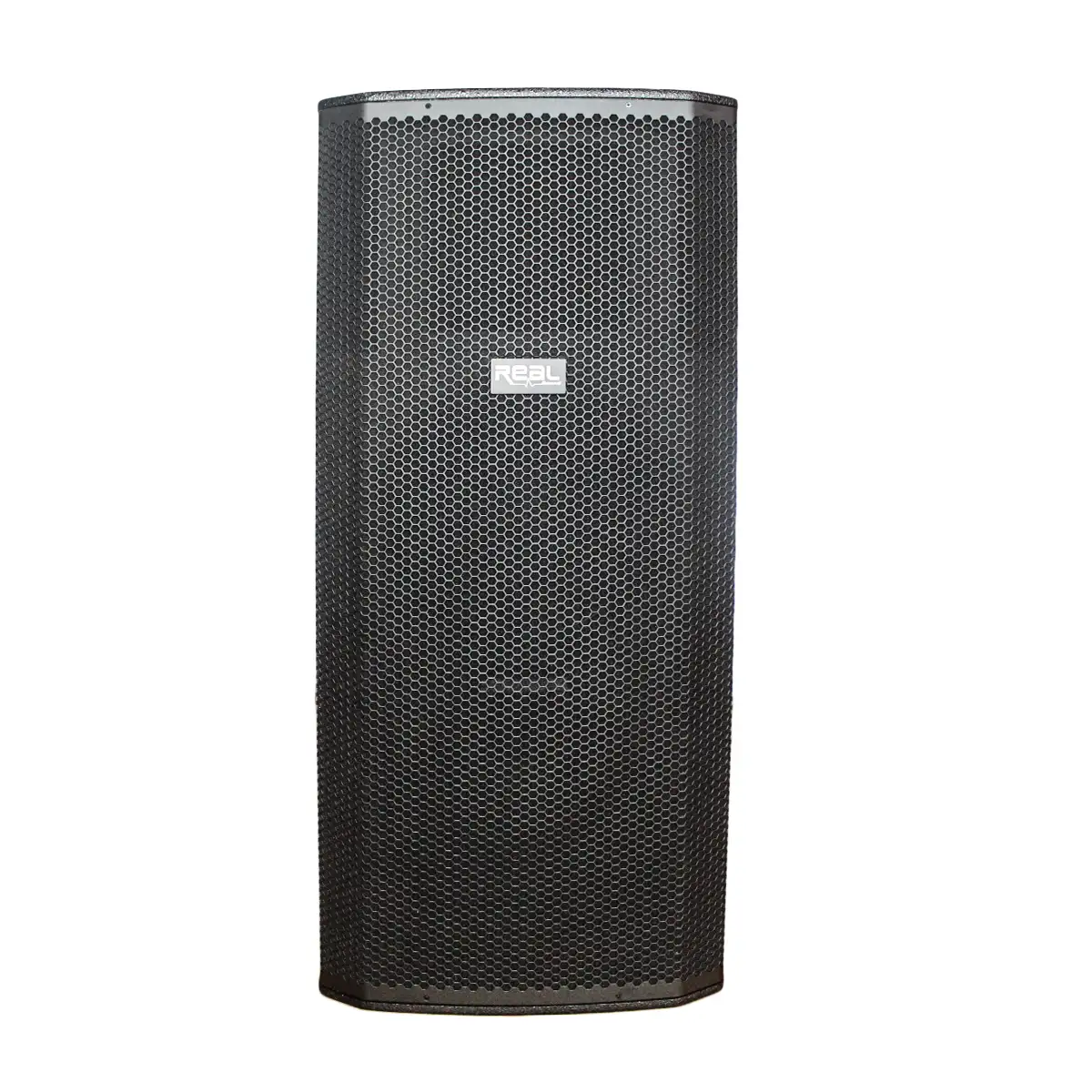 REAL Sound MS-215/2+ 15″ DUAL Passive Speaker