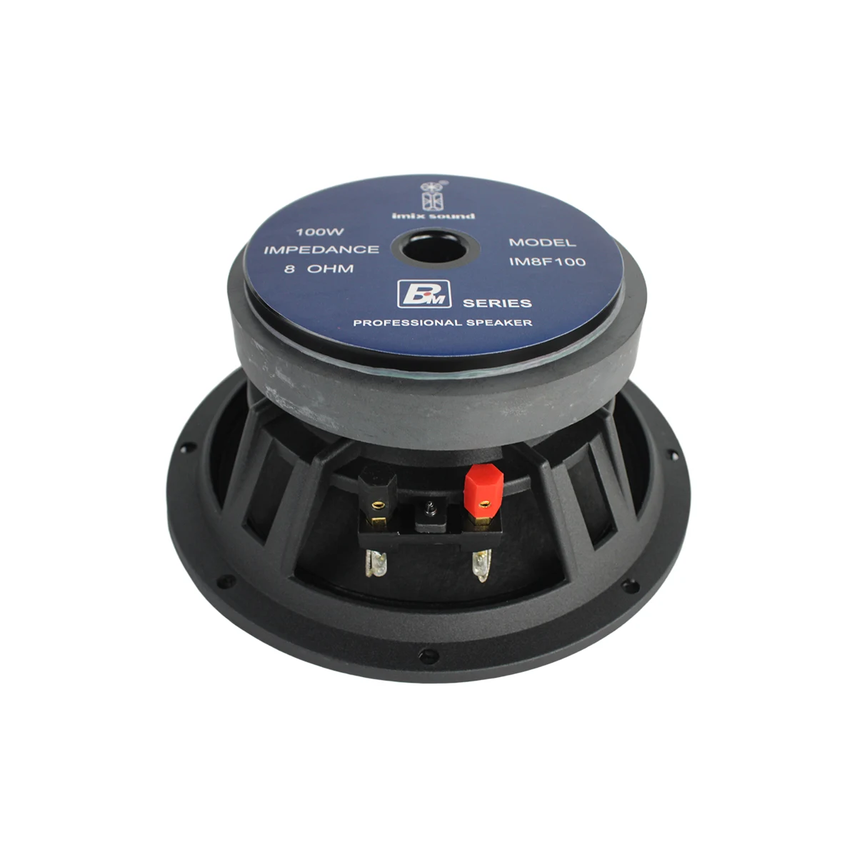 IM8F100 8″ 100W Loose Speaker