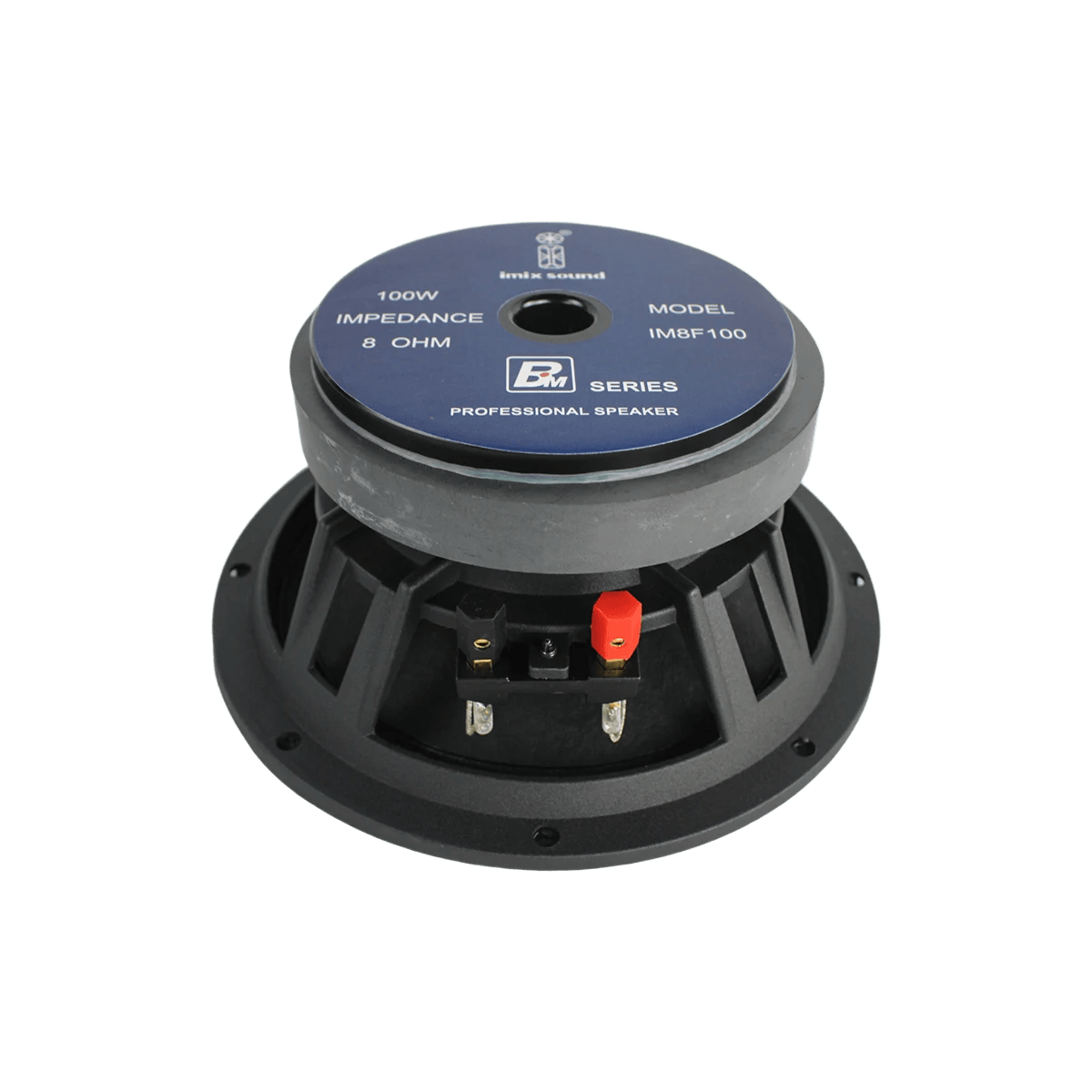 IM8F100 8″ 100W Loose Speaker