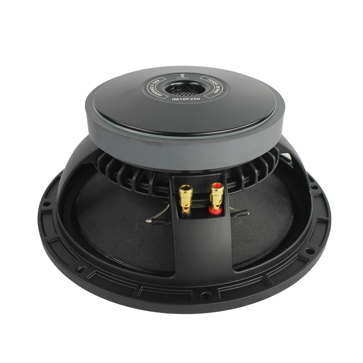 IM10F250 10″ 250W Loose Speaker