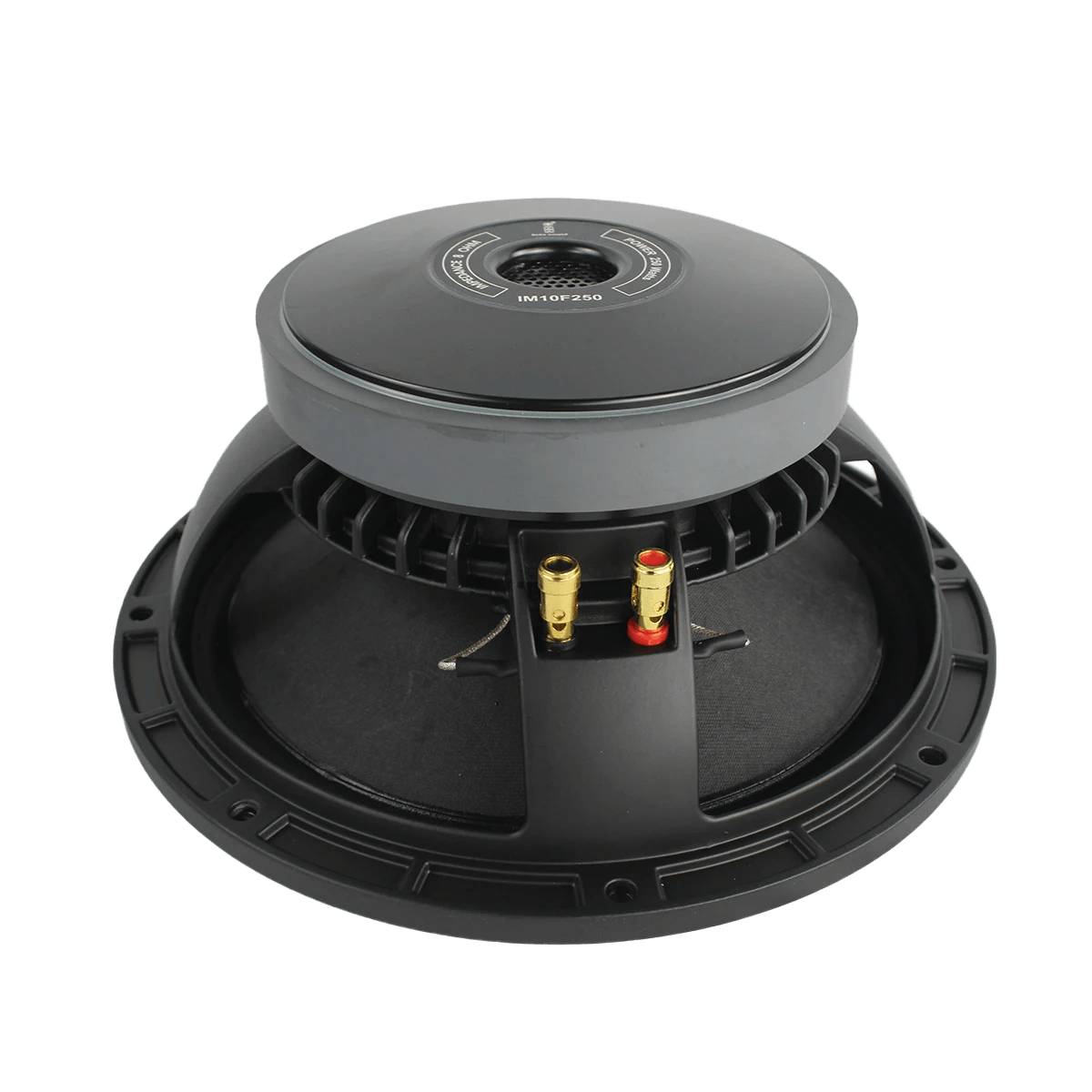 IM10F250 10″ 250W Loose Speaker