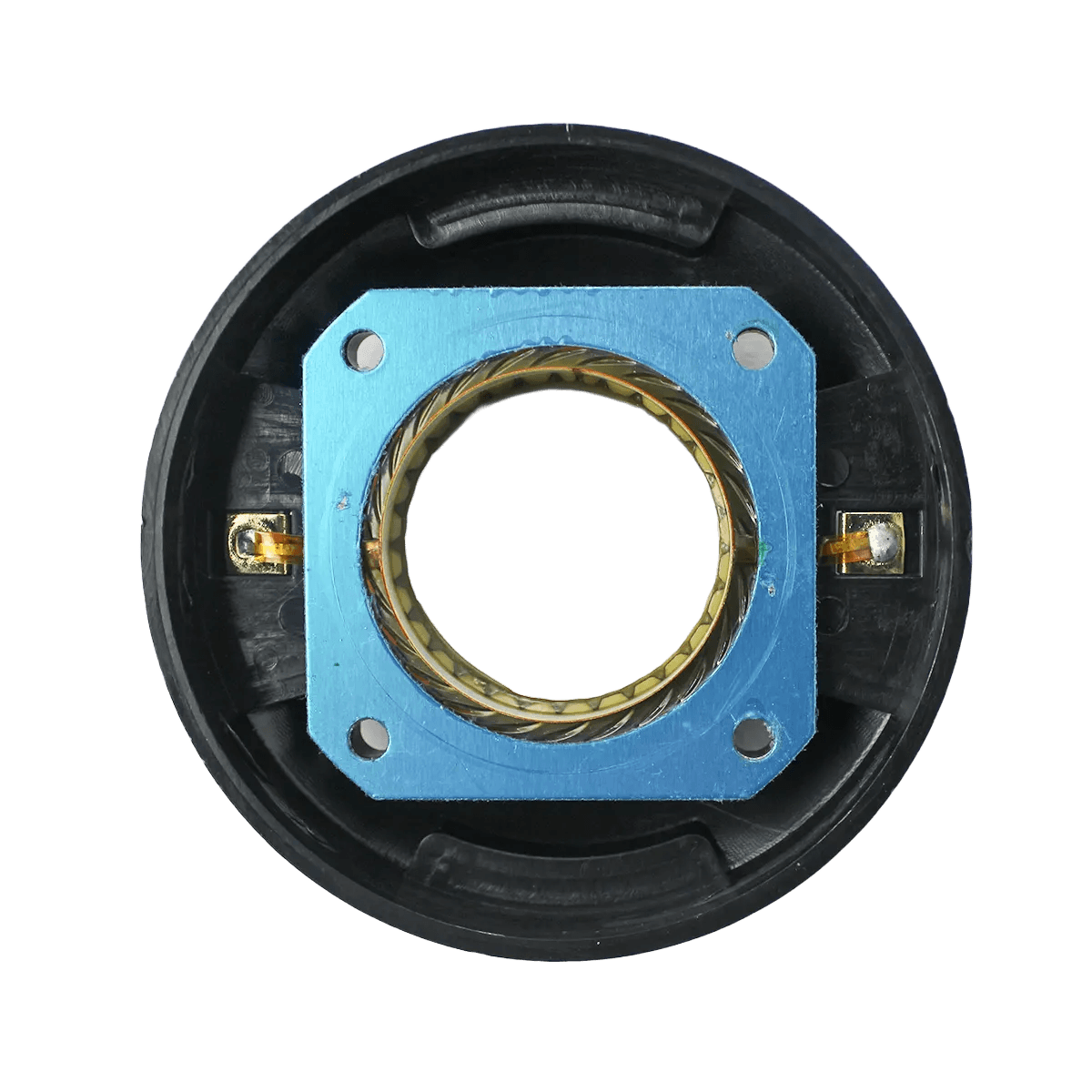 Diaphragm for EV ELX VC DIAMETER :36.0MM