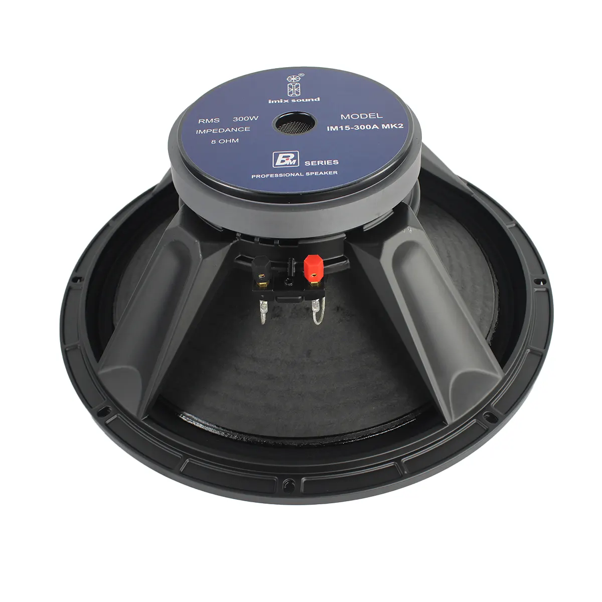 15-300A MK2 300W Loose Speaker