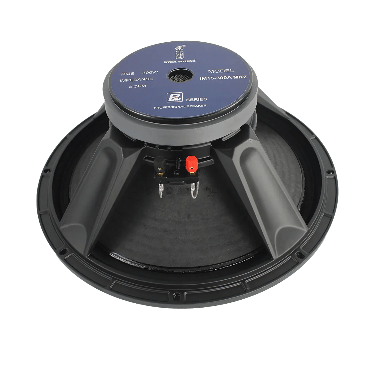 15-300A MK2 300W Loose Speaker