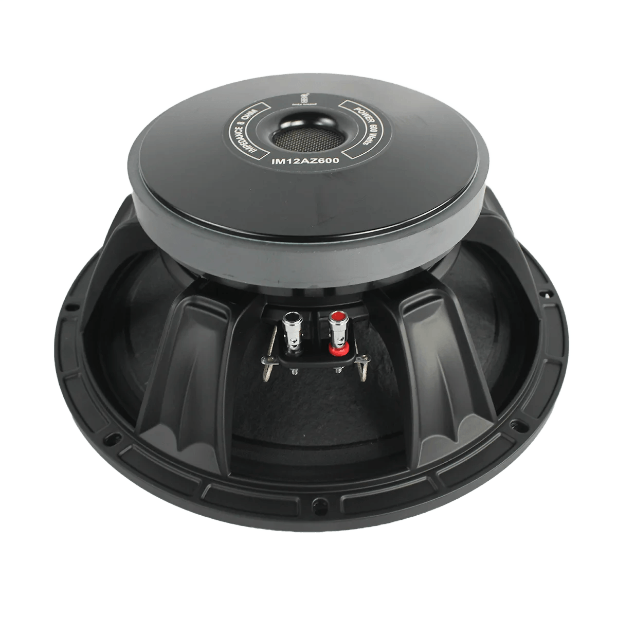 IM12AZ600 12″ 600W Loose Speaker