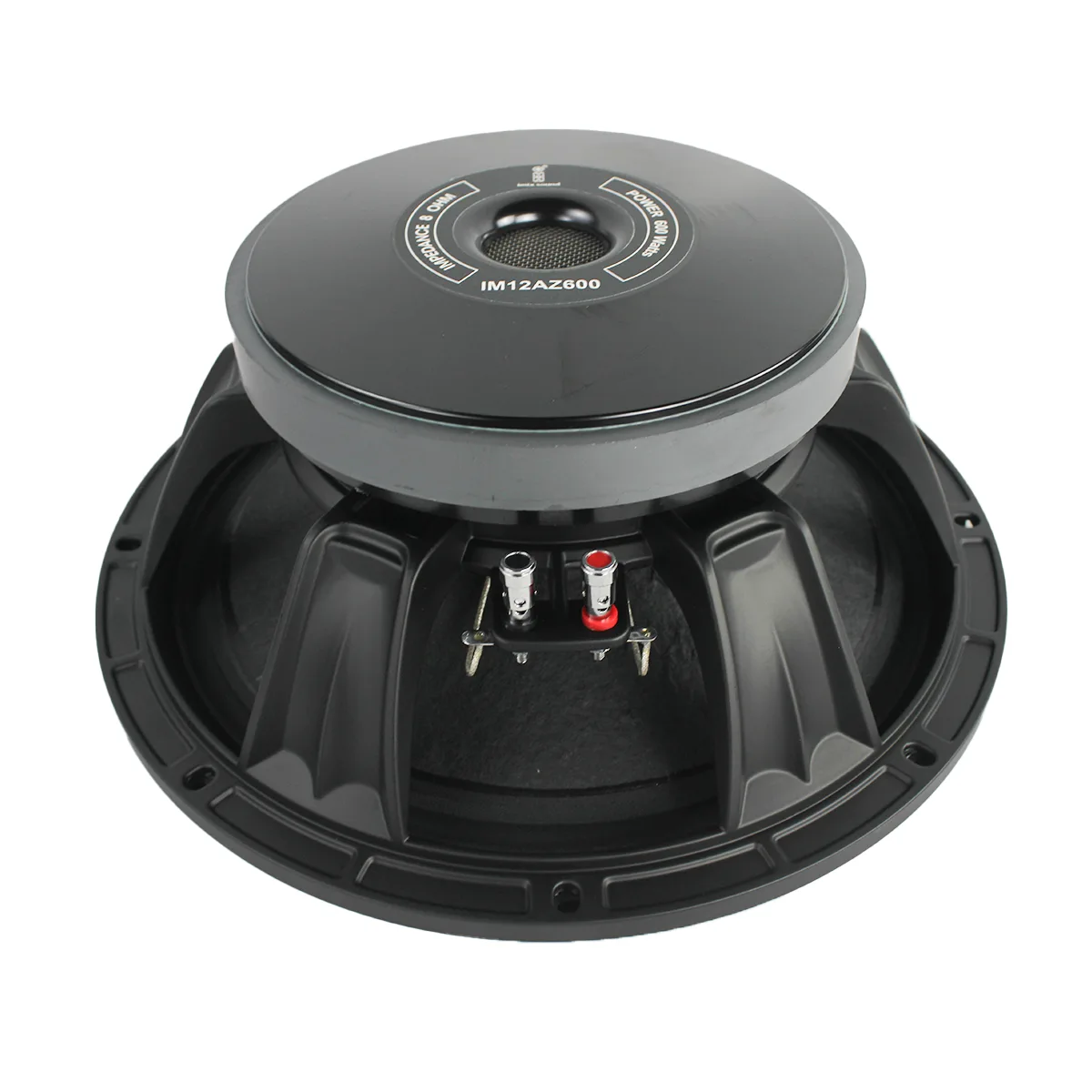 IM12AZ600 12″ 600W Loose Speaker